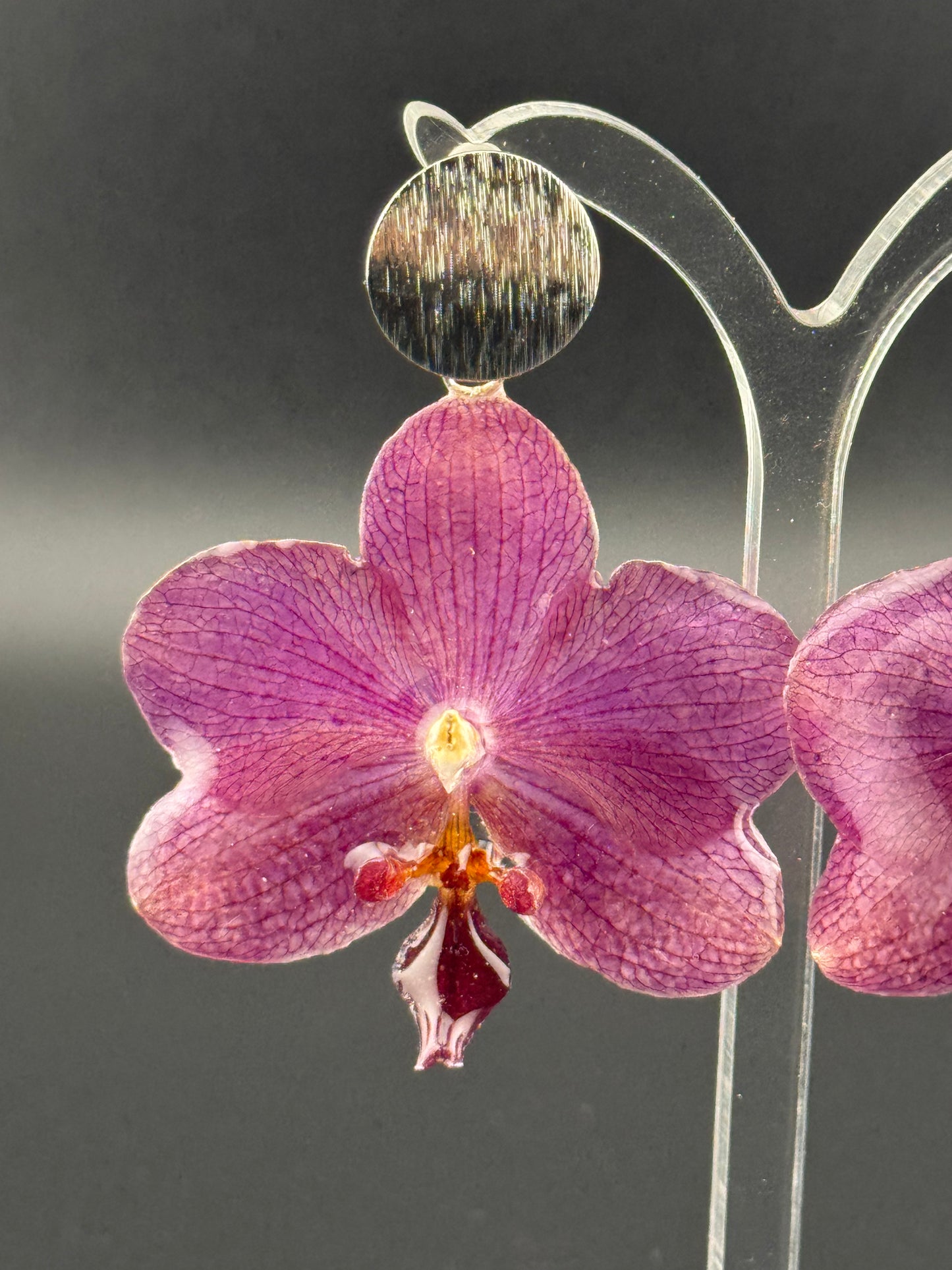 Echte Blütenohrringe aus Orchideen - Handgefertigt mit UV Harz #606