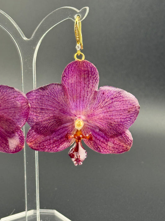 Echte Blütenohrringe aus Orchideen - Handgefertigt mit UV Harz #607