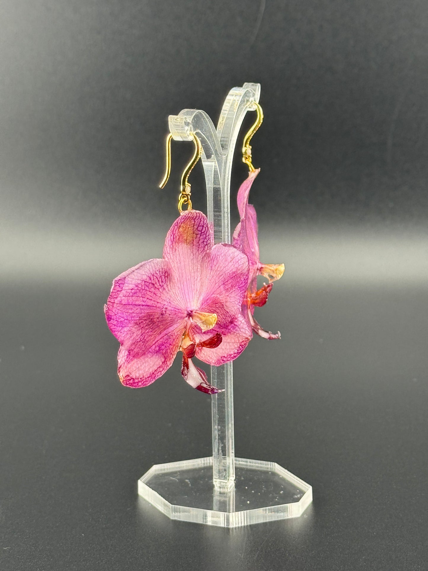 Echte Blütenohrringe aus Orchideen - Handgefertigt mit UV Harz #607