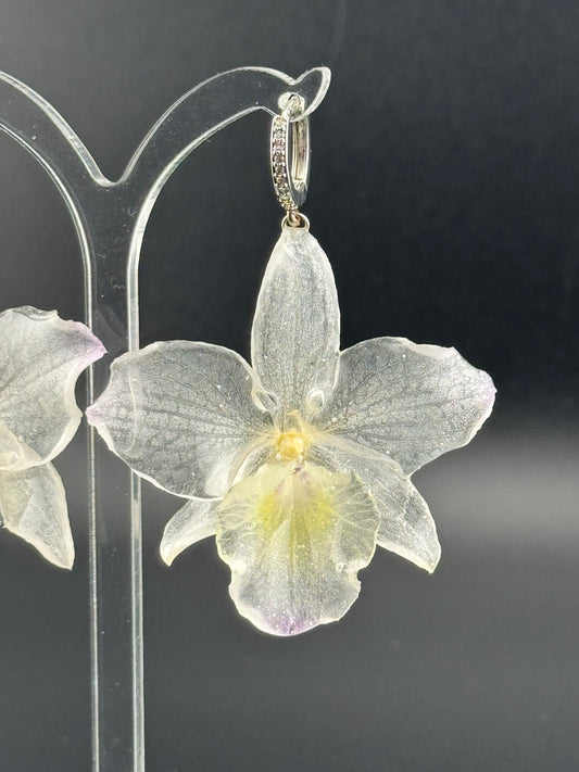 Echte Blütenohrringe aus Orchideen - Handgefertigt mit UV Harz #608