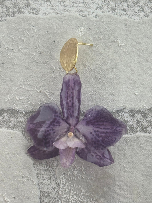 Echte Blütenohrringe aus Orchideen - Handgefertigt mit UV Harz #504