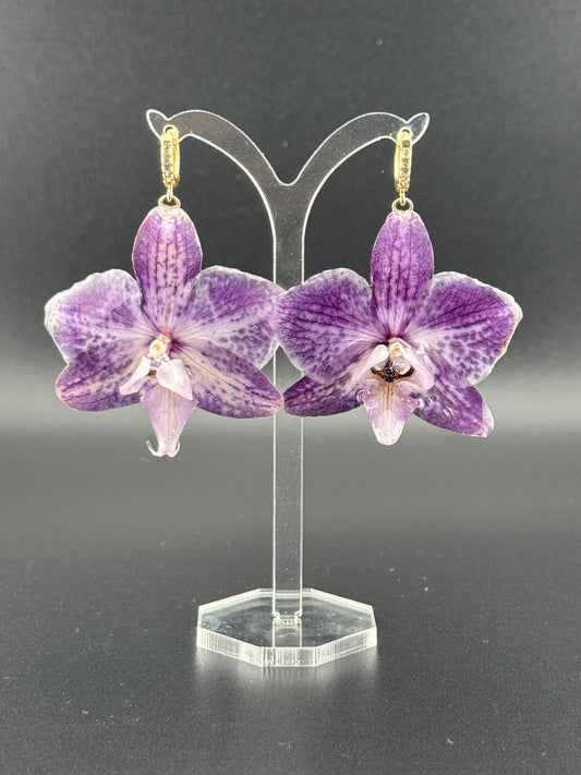 Echte Blütenohrringe aus Orchideen - Handgefertigt mit UV Harz #403