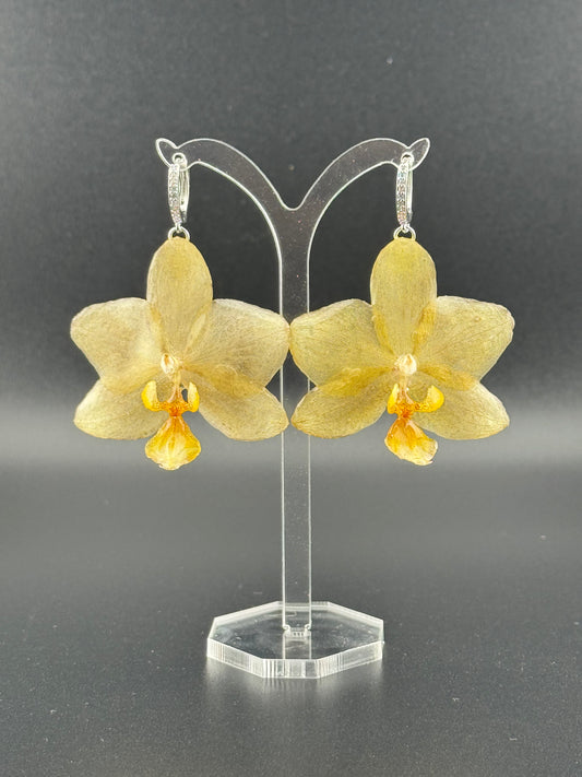 Echte Blütenohrringe aus Orchideen - Handgefertigt mit UV Harz #404
