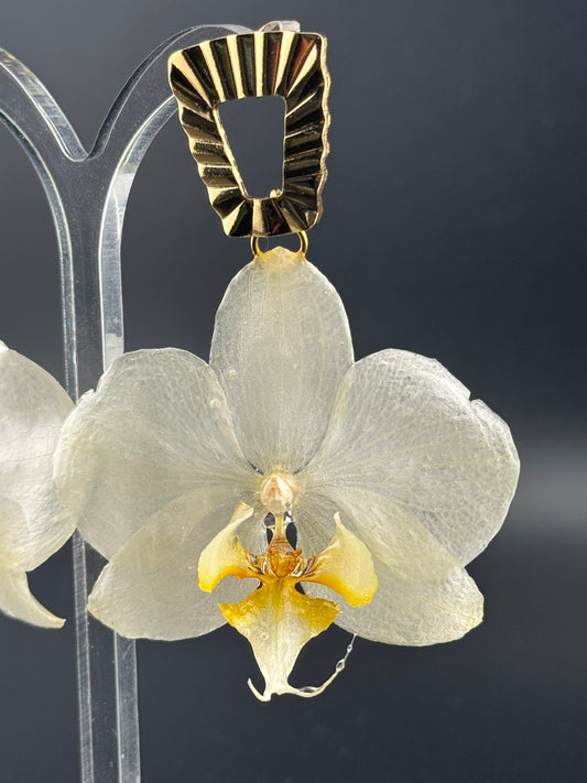 Echte Blütenohrringe aus Orchideen - Handgefertigt mit UV Harz #408