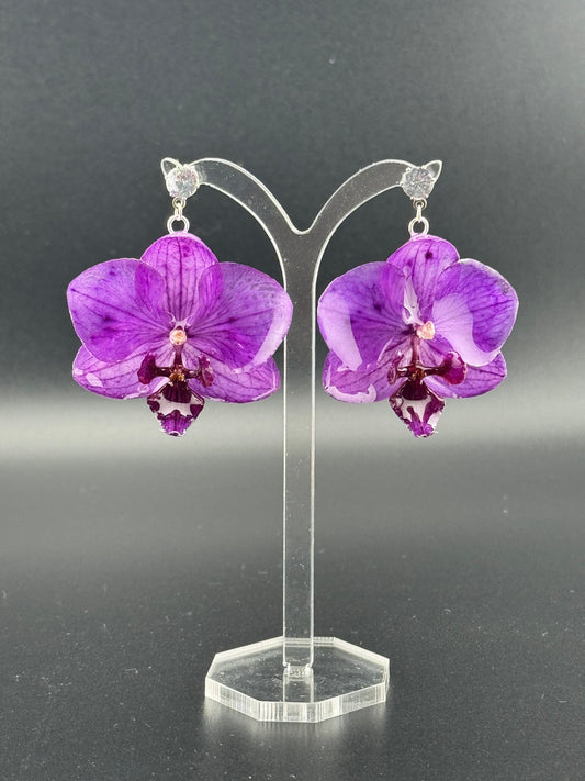 Echte Blütenohrringe aus Orchideen - Handgefertigt mit UV Harz #409