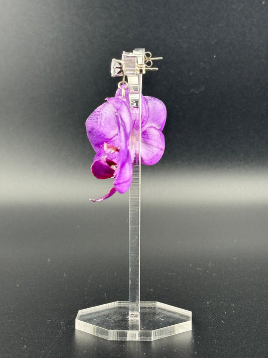 Echte Blütenohrringe aus Orchideen - Handgefertigt mit UV Harz #409
