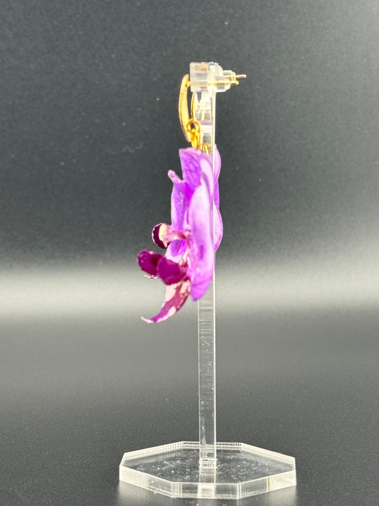 Echte Blütenohrringe aus Orchideen - Handgefertigt mit UV Harz #410