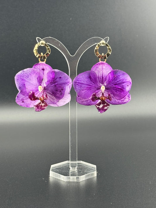 Echte Blütenohrringe aus Orchideen - Handgefertigt mit UV Harz #411