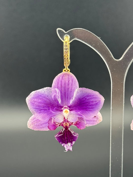 Echte Blütenohrringe aus Orchideen - Handgefertigt mit UV Harz #413
