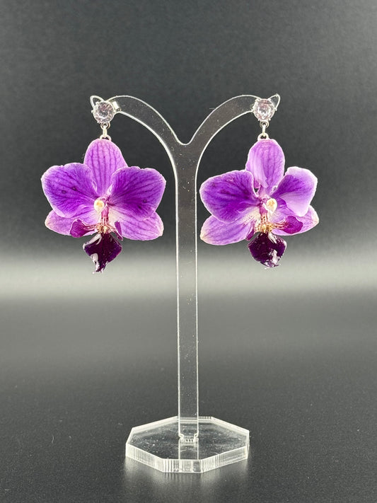 Echte Blütenohrringe aus Orchideen - Handgefertigt mit UV Harz #415