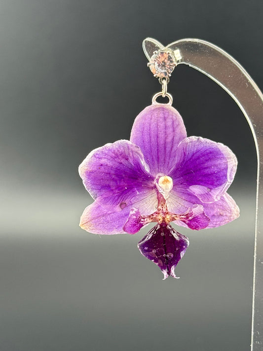 Echte Blütenohrringe aus Orchideen - Handgefertigt mit UV Harz #416